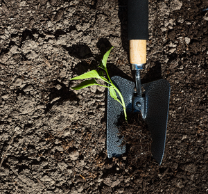 Hand Trowel