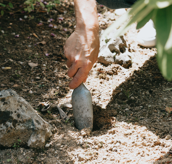 Hand Trowel