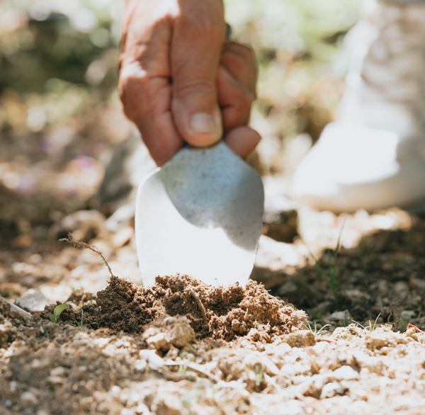 Hand Trowel