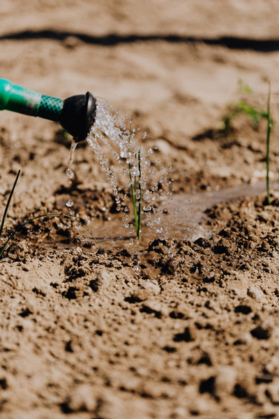 Watering can