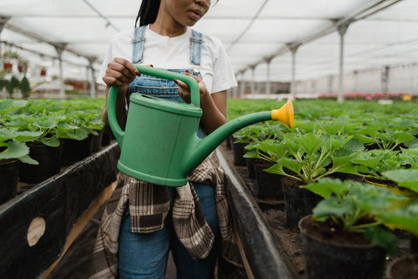 Watering can