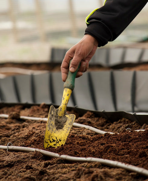 Hand Trowel